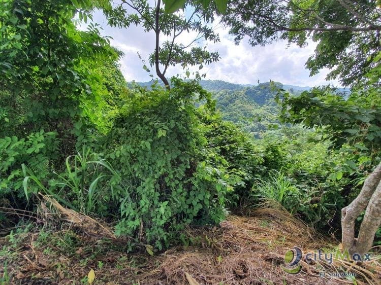 En venta Finca de 50 Mz en zona Santiago Texacuangos - foto 3