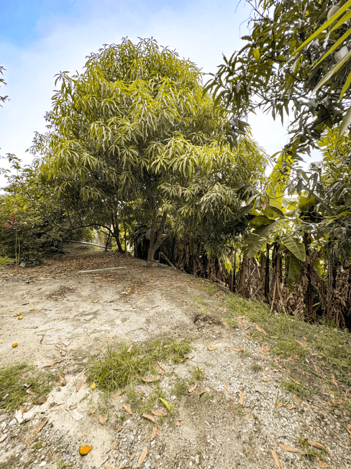 Terreno en venta en Apulo Ilopango a 3 minutos del lago - foto 4