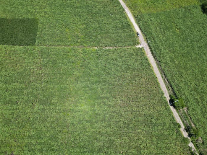 Terreno comercial de 1 manzana en Nejapa por Coca Cola - foto 3