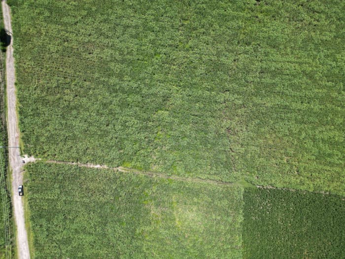 Terreno comercial de 1 manzana en Nejapa por Coca Cola - foto 2