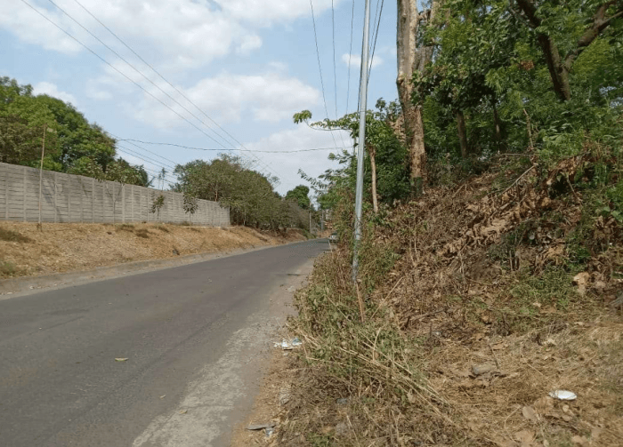Terreno comercial en calle Chaparrastique San Miguel  - foto 2
