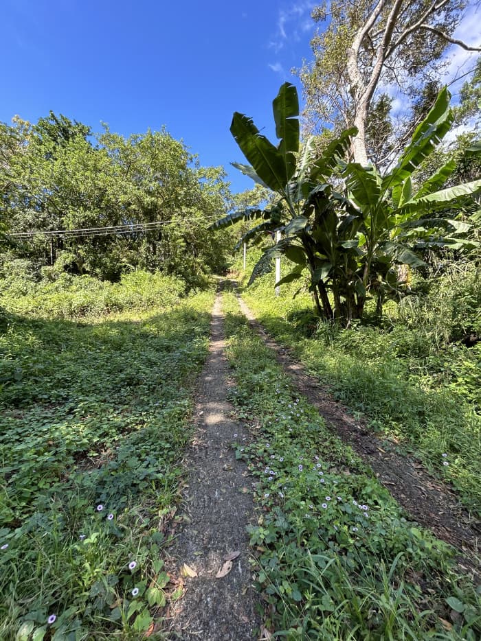 Terreno residencial en venta en Huizucar La Libertad - foto 3