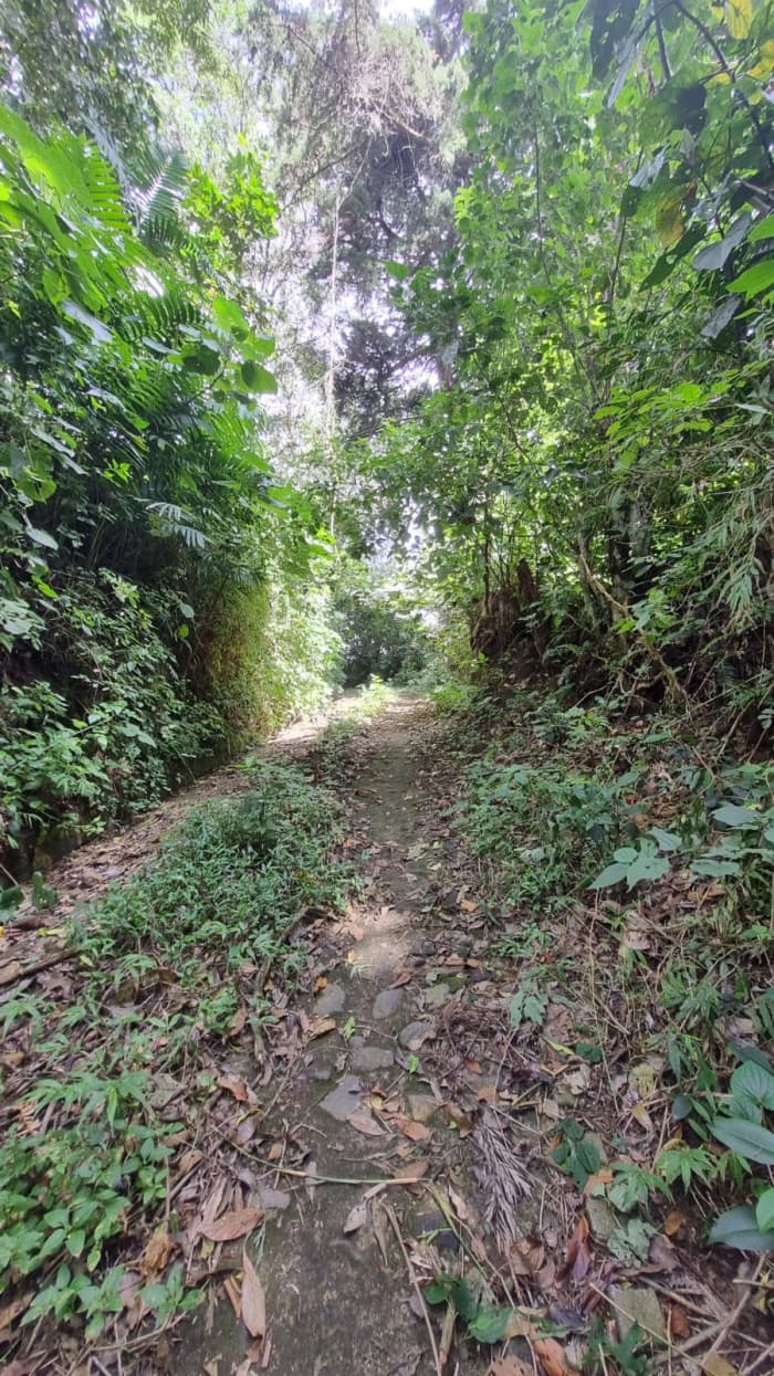 Vendo espectacular terreno en calle al Boquerón km 18  - foto 4