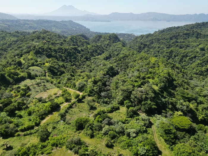 34 manzanas con vista al lago de Ilopango ideal paneles - foto 4