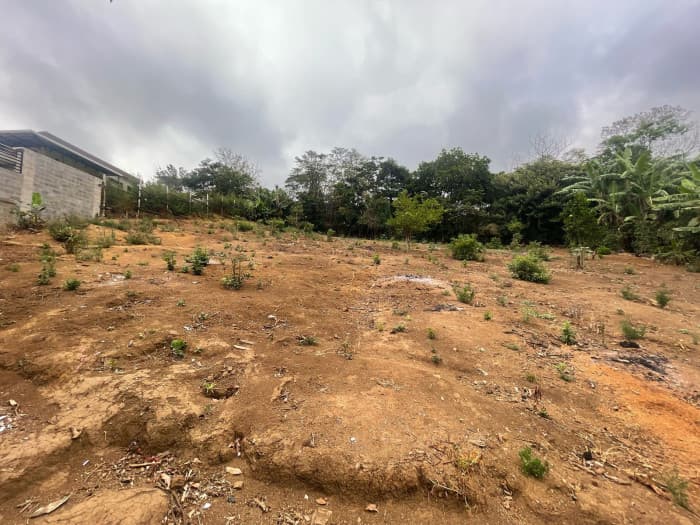 Terreno en venta en El Guamo Juayúa Sonsonate - foto 2