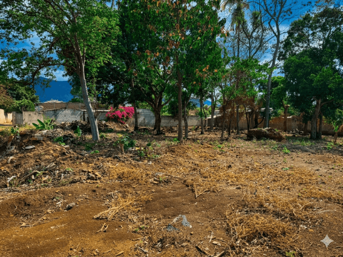 Lote de esquina en venta en El Refugio Ahuachapán - foto 2