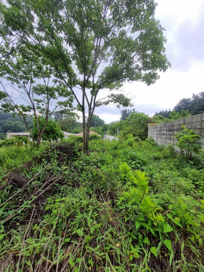 Terreno urbano en venta en Mercedes Umaña Usulután - foto 2