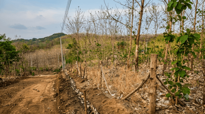 Terreno en venta en Mirador del Mar La Libertad - foto 3