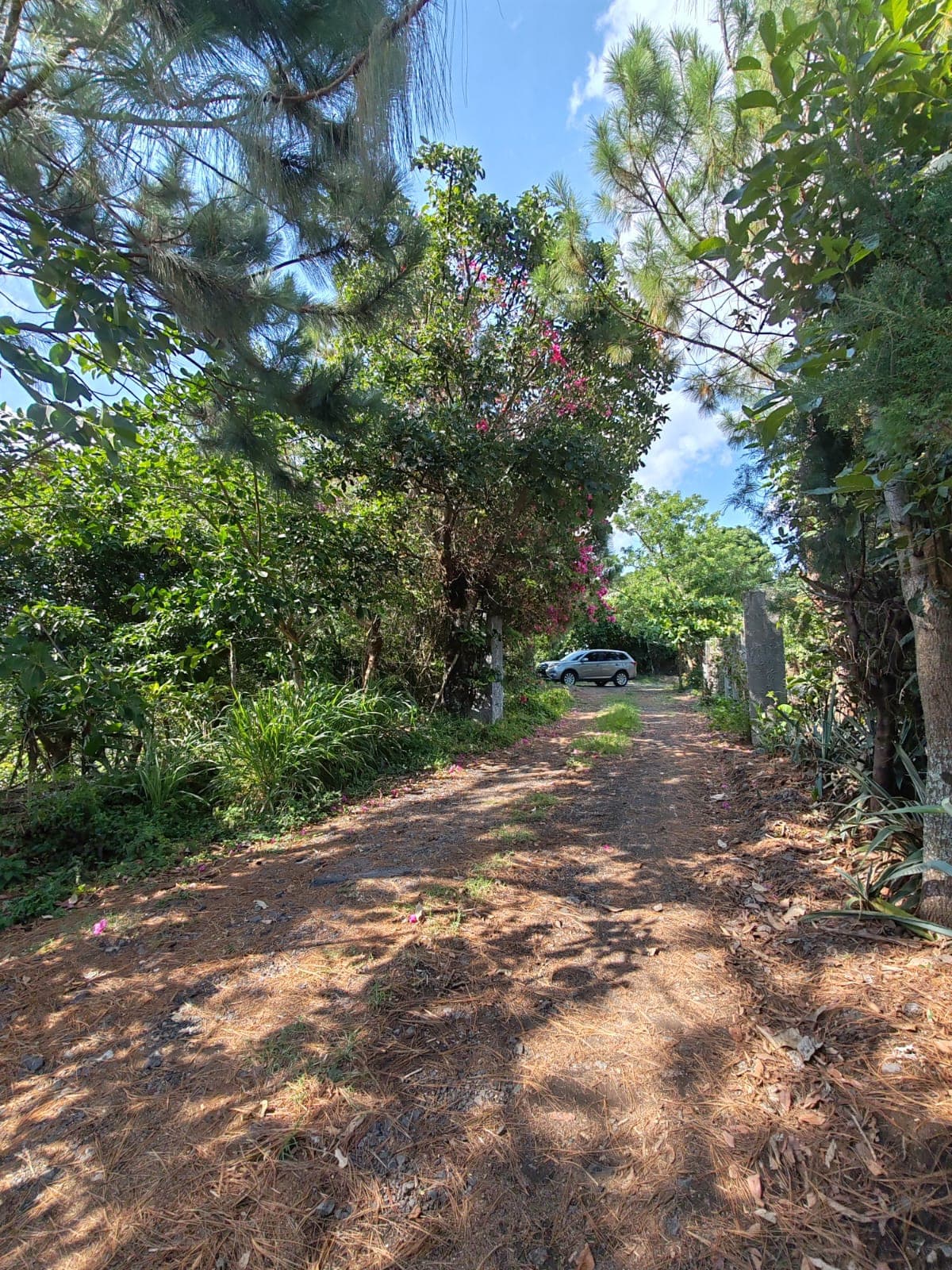 Venta de Terreno con vista en Comasagua  - foto 2