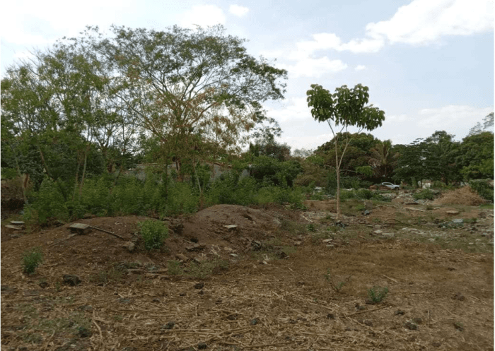Terreno comercial en calle Chaparrastique San Miguel  - foto 3