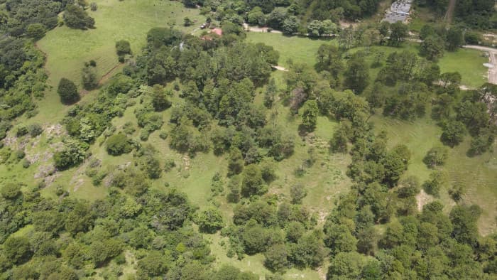 Venta de terreno residencial en La Palma - foto 2
