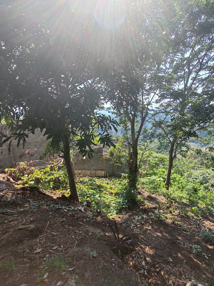 Venta de Terreno con vista en Comasagua  - foto 4