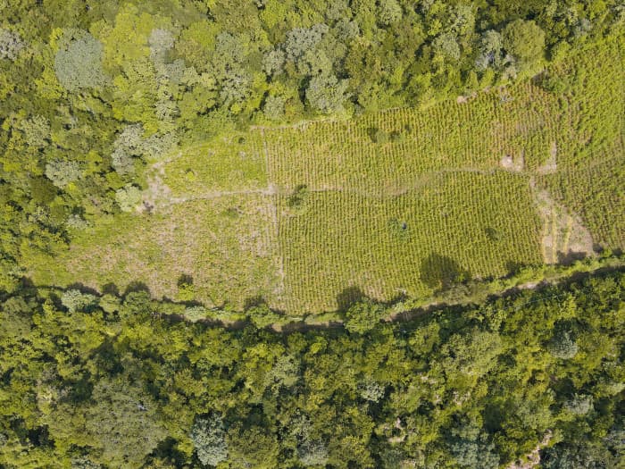 Terreno por Bosques de Lourdes en zona de crecimiento - foto 2