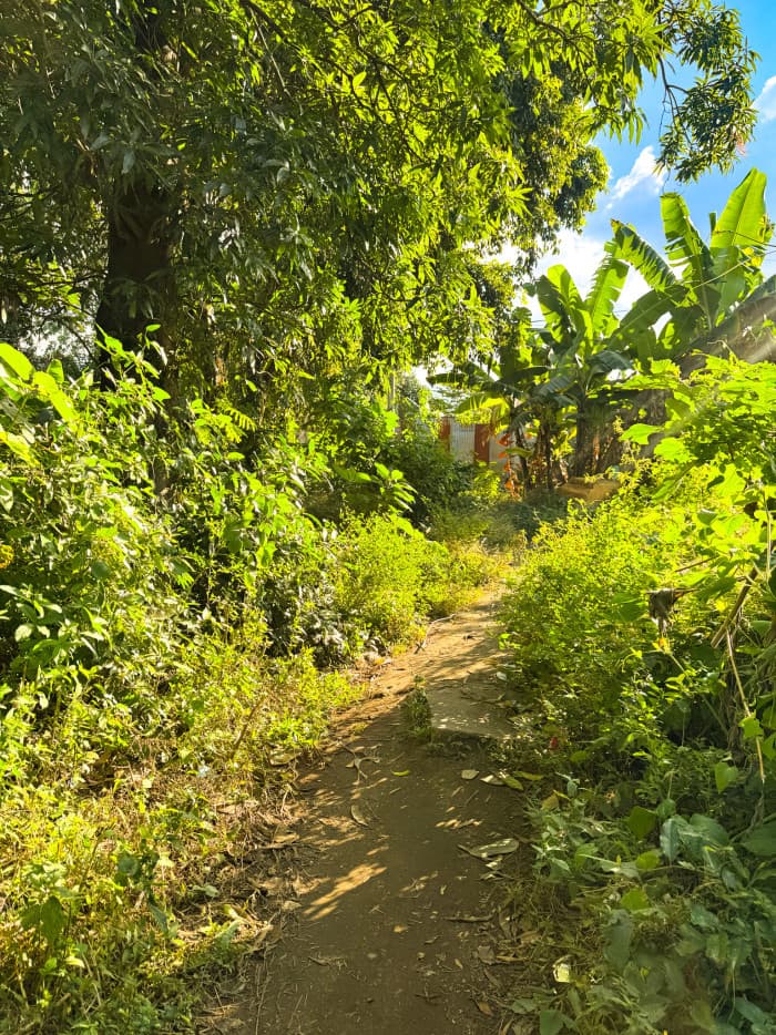 Terreno ideal para construir en Lourdes Colón - foto 4