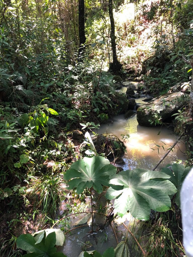 Venta de hermoso terreno en San Ignacio - foto 4