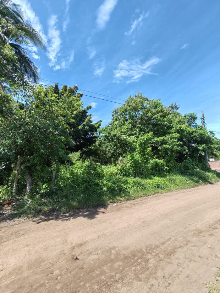 Terreno de oportunidad en venta Lotificación San Andres - foto 2