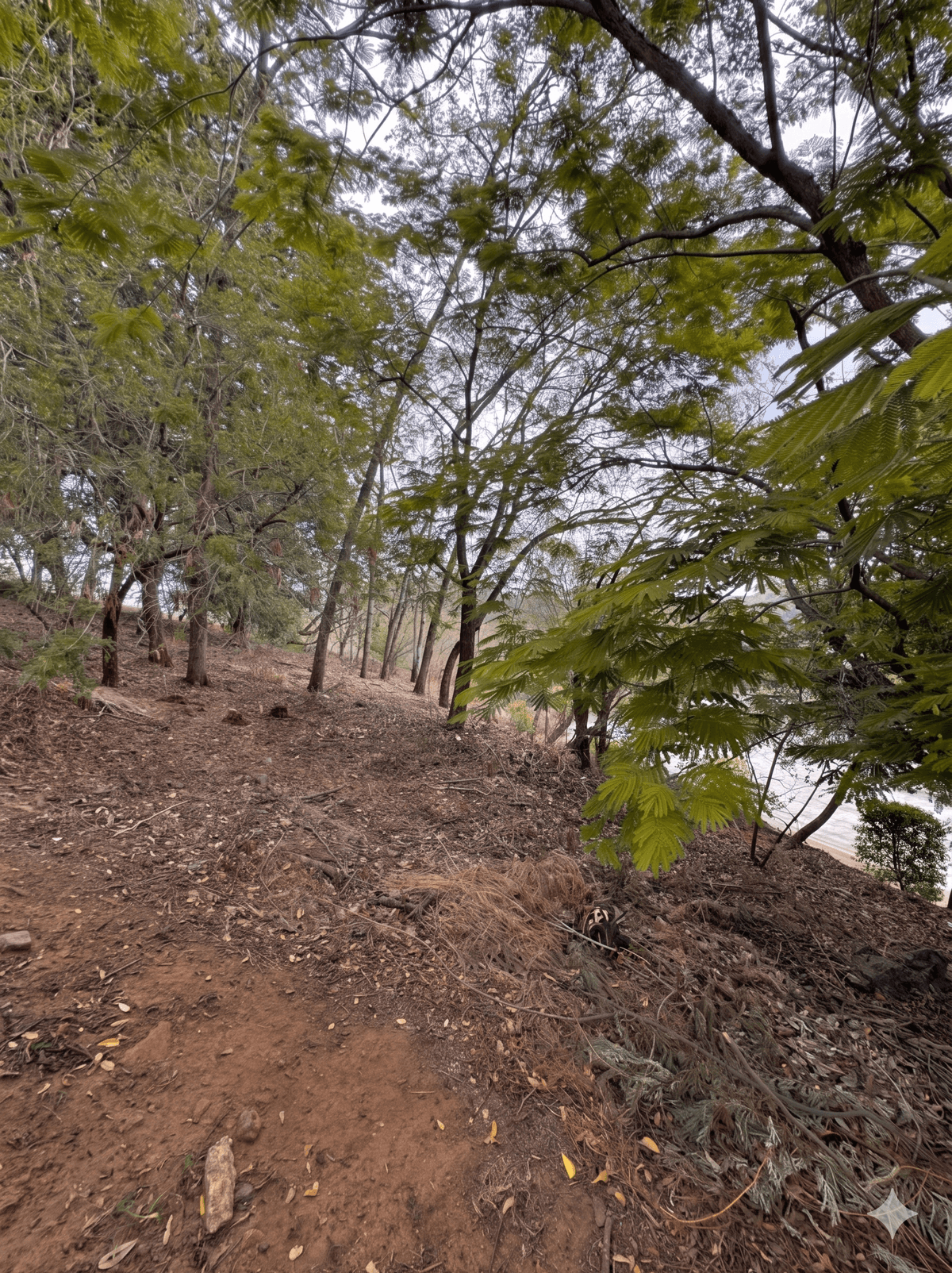 Terreno grande en Las Luces muy por debajo de avalúo  - foto 4