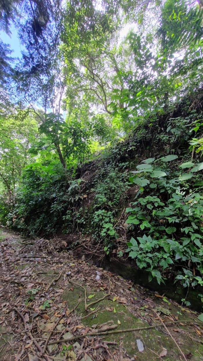 Vendo espectacular terreno en calle al Boquerón km 18  - foto 3
