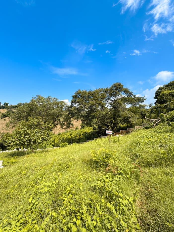 Preventa de Lote en San José Villanueva  - foto 2