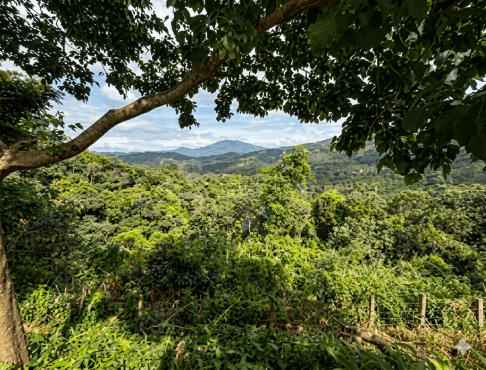 Terreno en venta La Cumbre Comasagua con vista al mar - foto 2