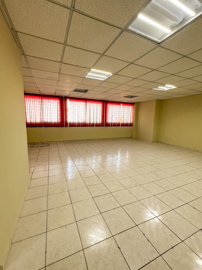 Edificio en Alquiler de 3 Niveles Colonia Flor Blanca  - foto 2