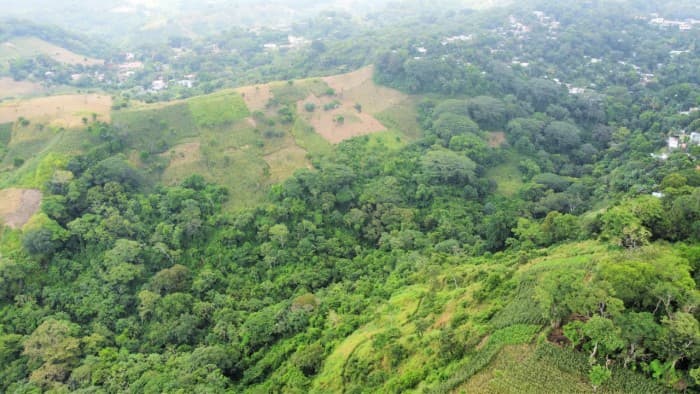 Terreno en venta cercano Carretera al Puerto - foto 3