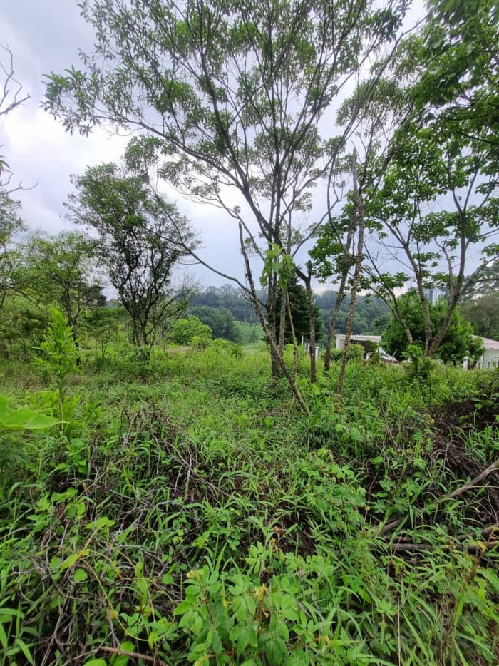 Terreno urbano en venta en Mercedes Umaña Usulután - foto 3