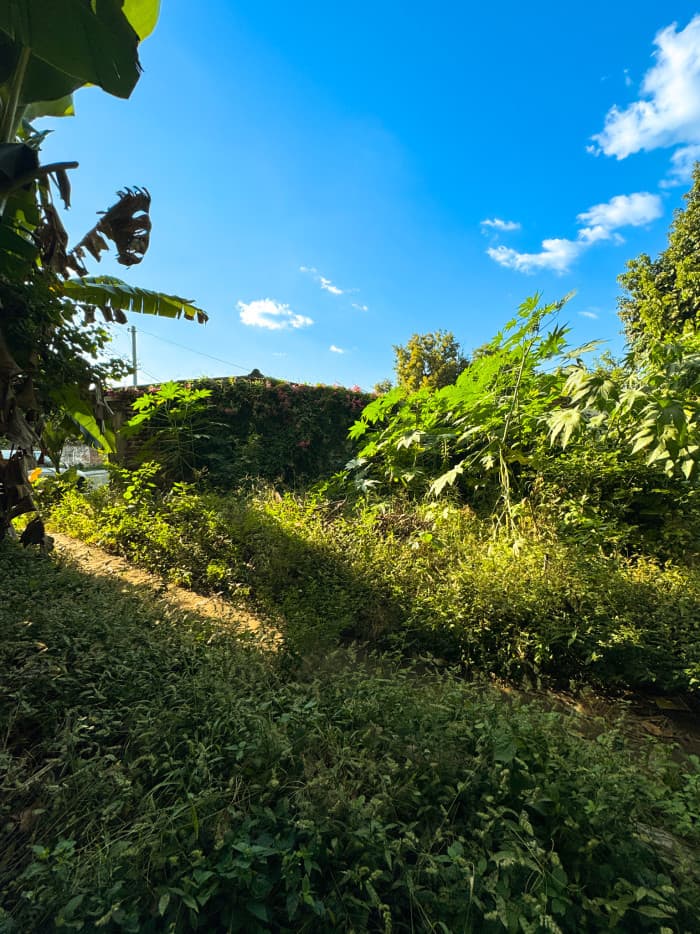 Terreno ideal para construir en Lourdes Colón - foto 3