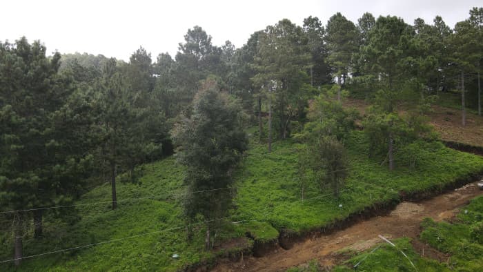 Terreno en venta en Alpes de San Ignacio Chalatenango - foto 4