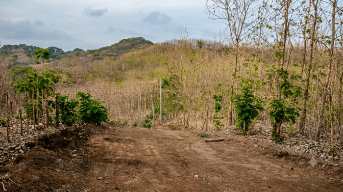 Terreno en venta en Mirador del Mar La Libertad - foto 2