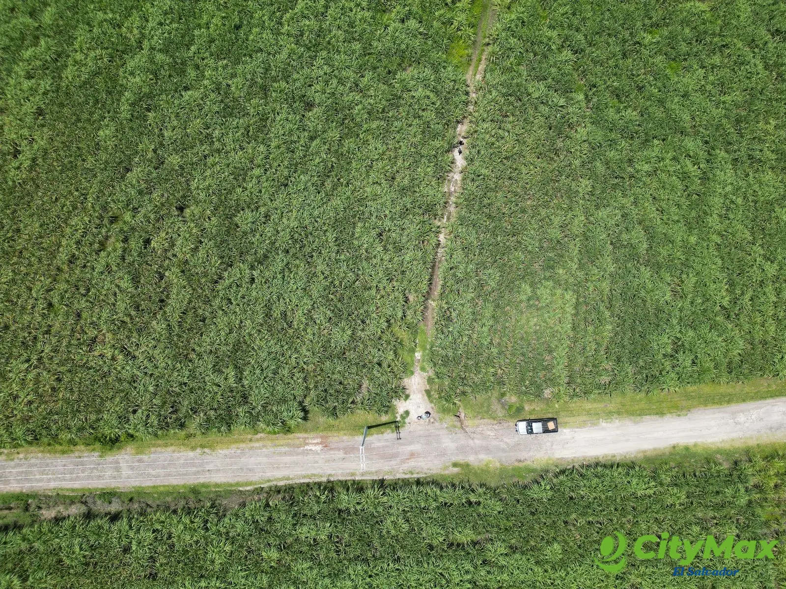 Terreno comercial de 1 manzana en Nejapa por Coca Cola - foto 1