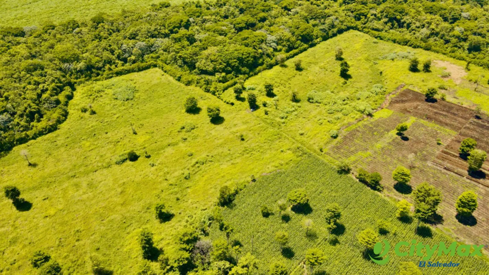 Lotes en pre venta dentro de Residencial Privada - foto 1
