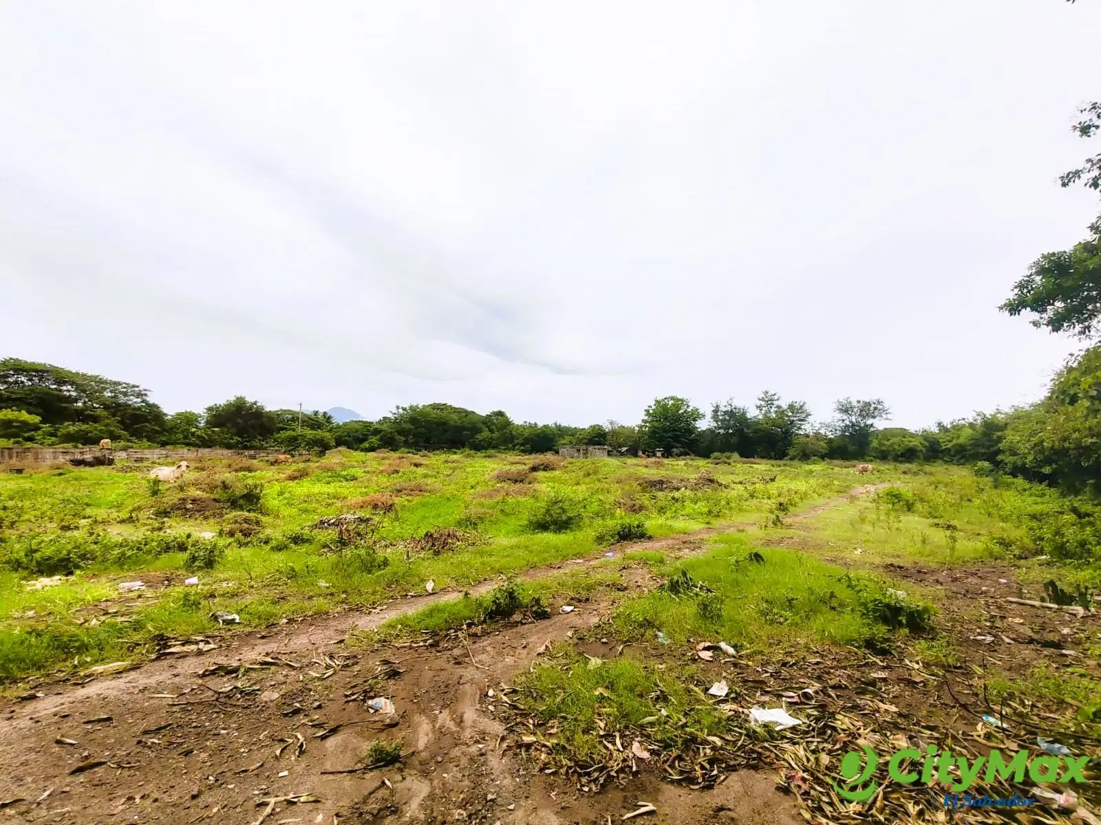 Venta de terrenos planos cerca Puente Río Lempa - foto 1
