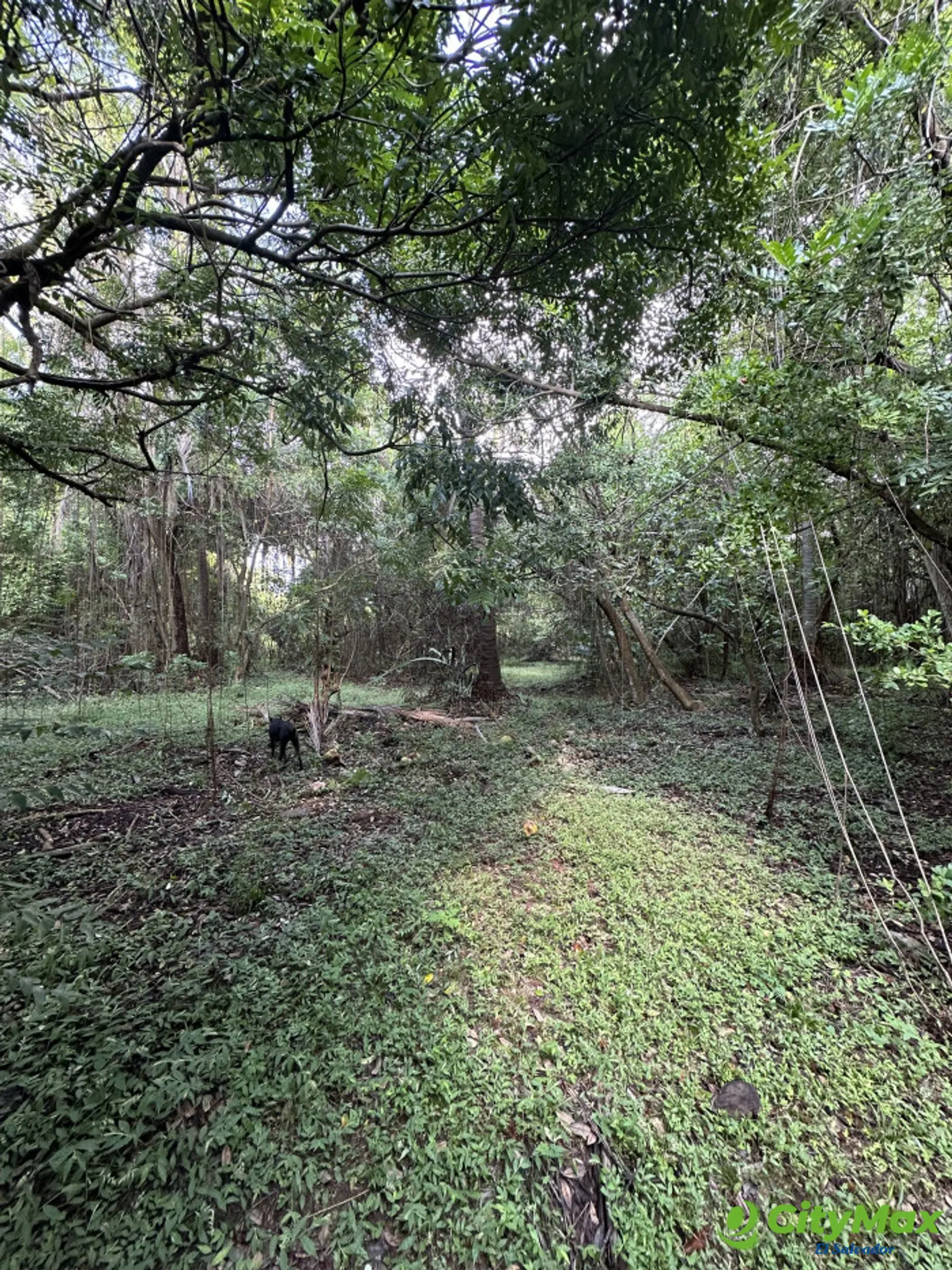 Terrenos en venta en Isla Madresal Bahía de Jiquilisco - foto 6