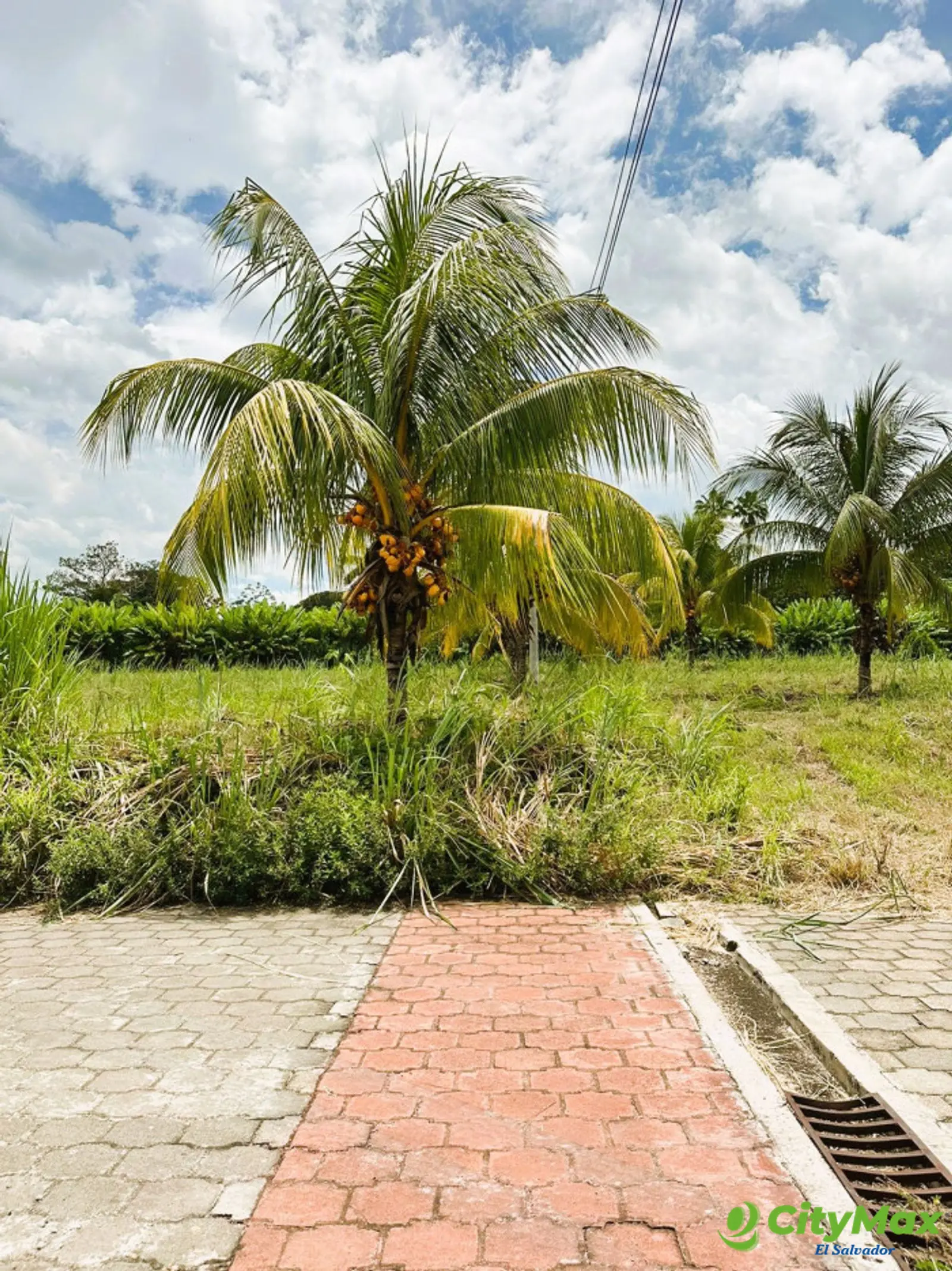 Terreno dentro de residencial privada Sonsonate - foto 2