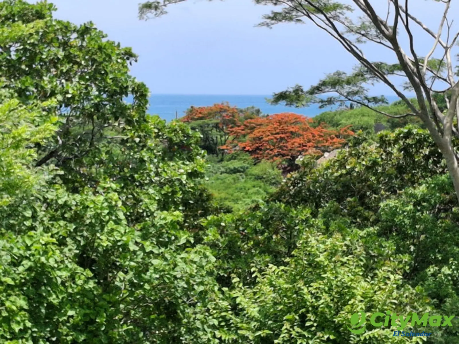 Terreno en venta con vista al mar en Surf City  - foto 5