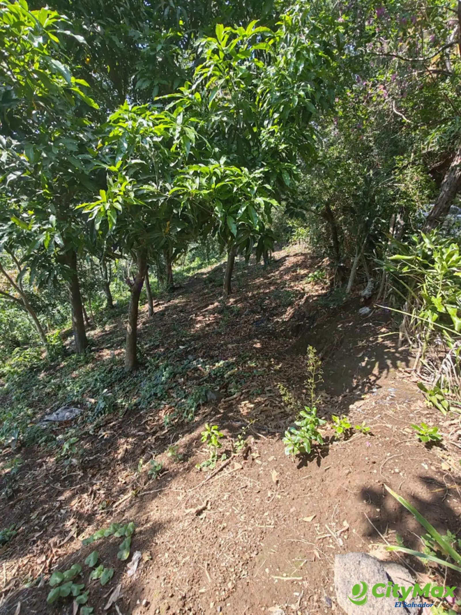 Venta de Terreno con vista en Comasagua  - foto 5