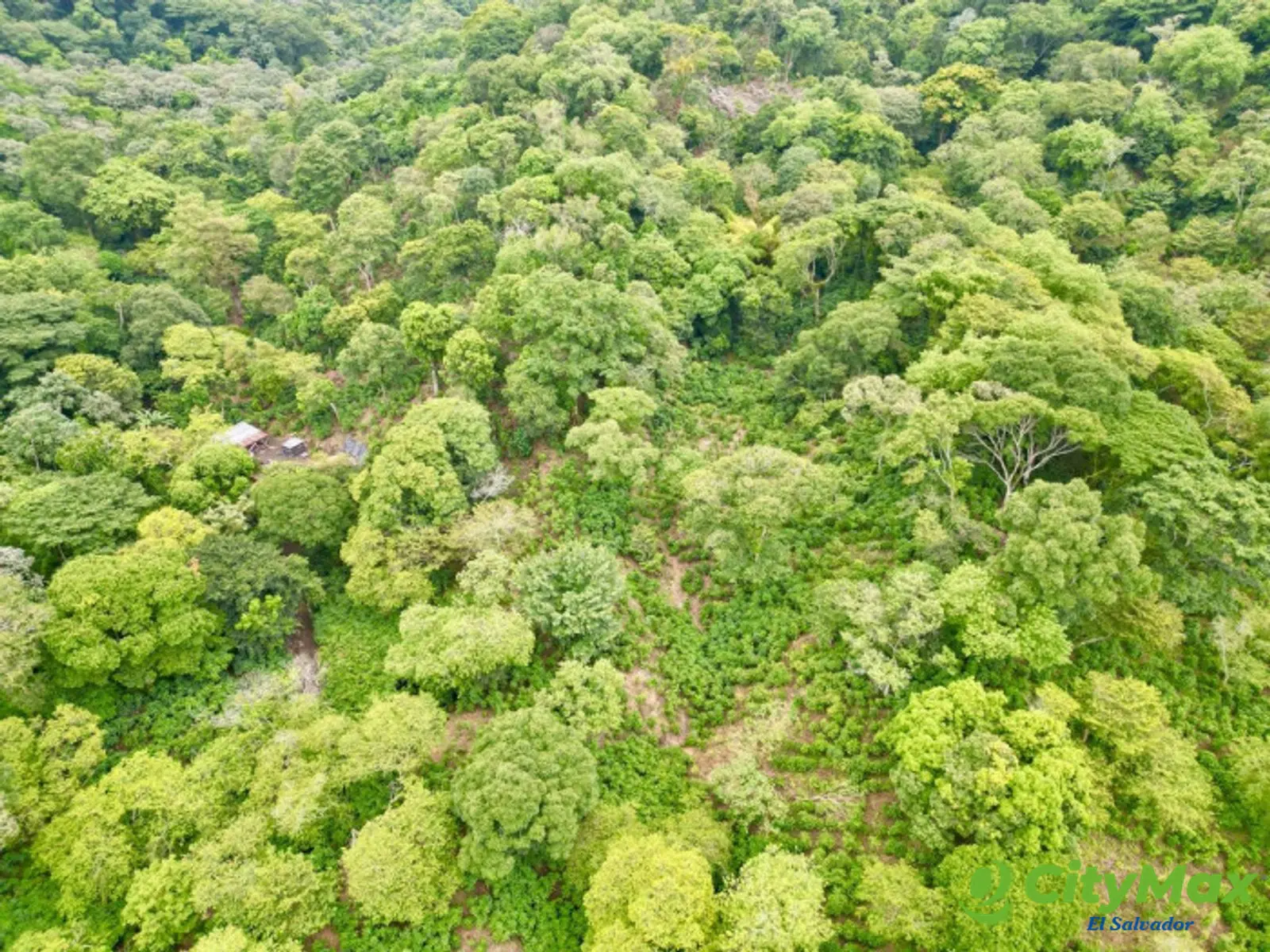 Finca agrícola de 20 manzanas con altura de 850 msnm - foto 7