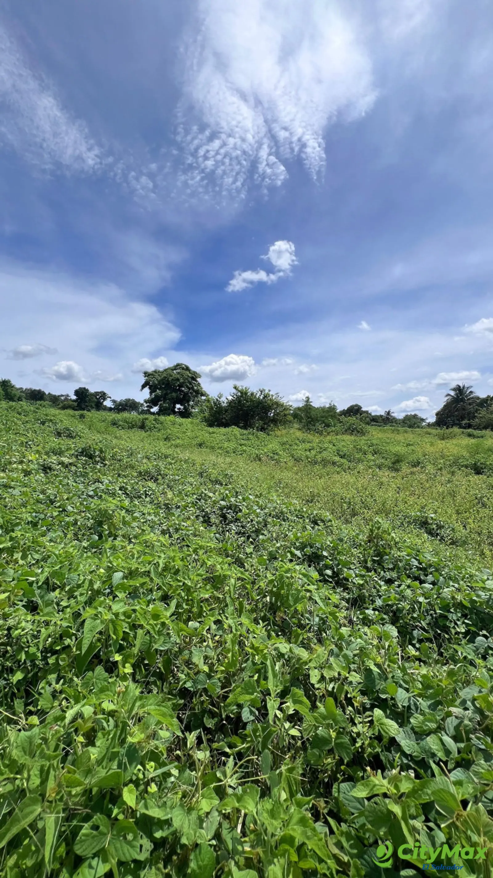 Derecho en venta de lote en Altos de Las Mercedes - foto 4