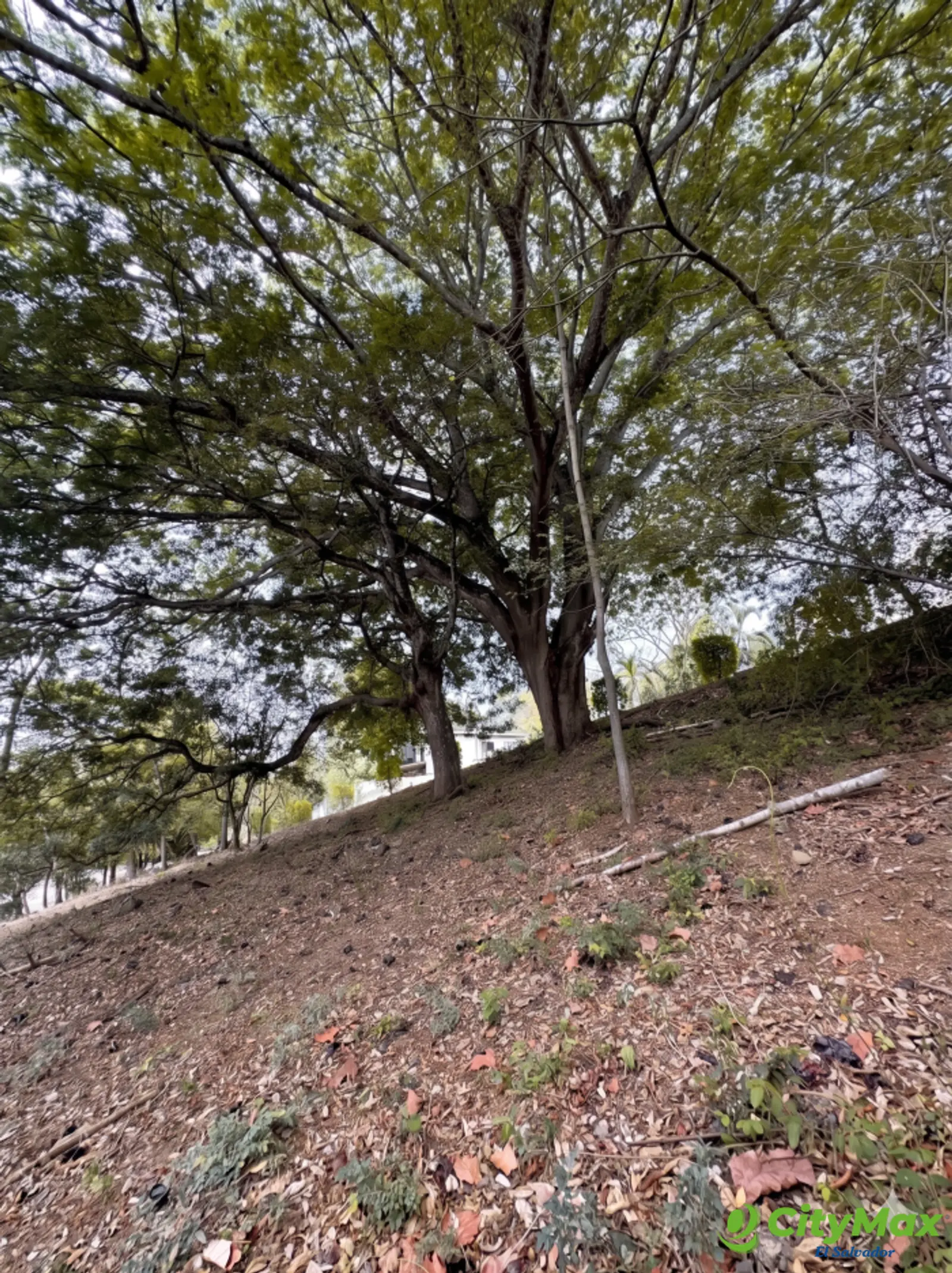 Terreno grande en Las Luces muy por debajo de avalúo  - foto 5