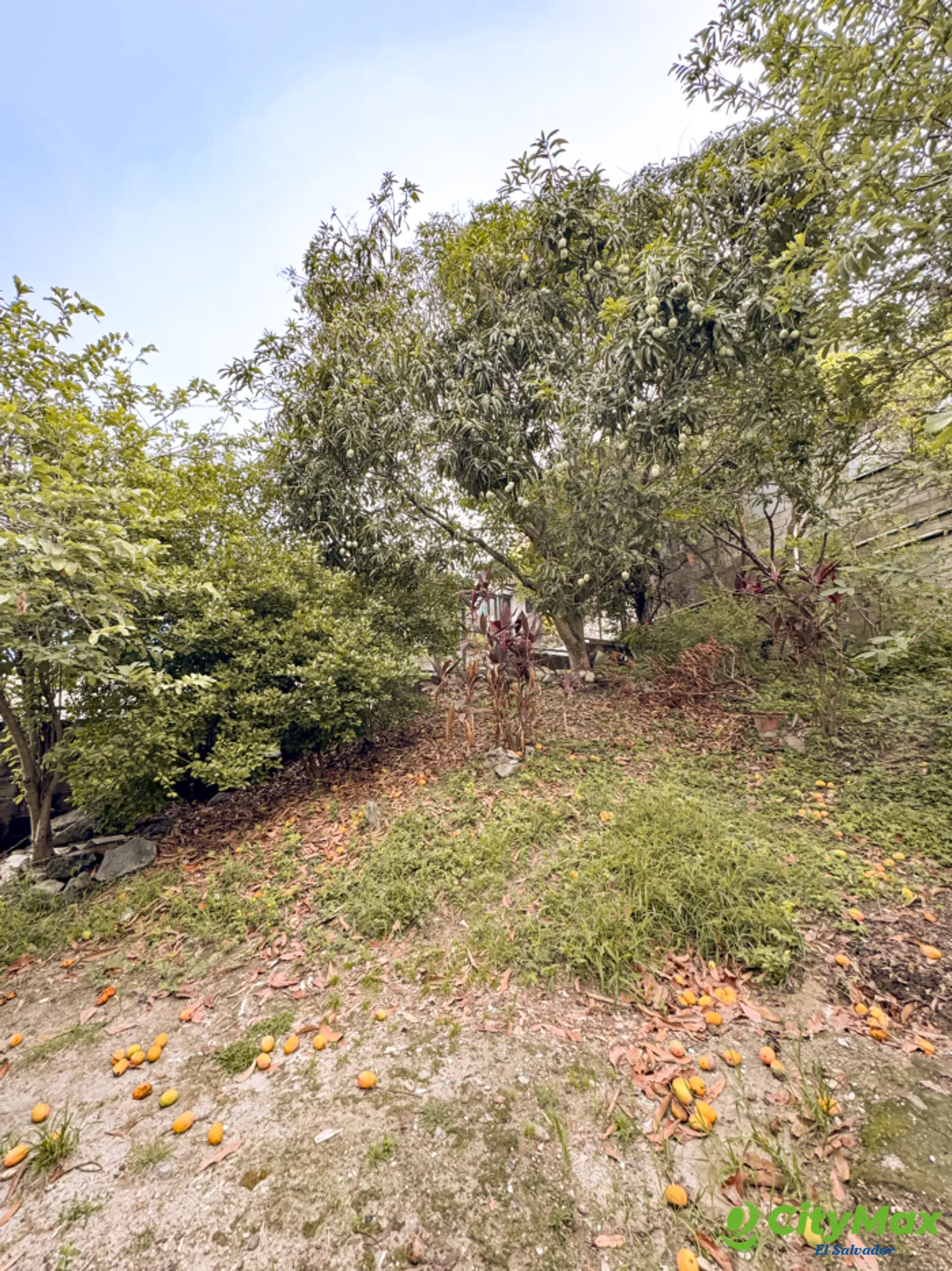 Terreno en venta en Apulo Ilopango a 3 minutos del lago - foto 8