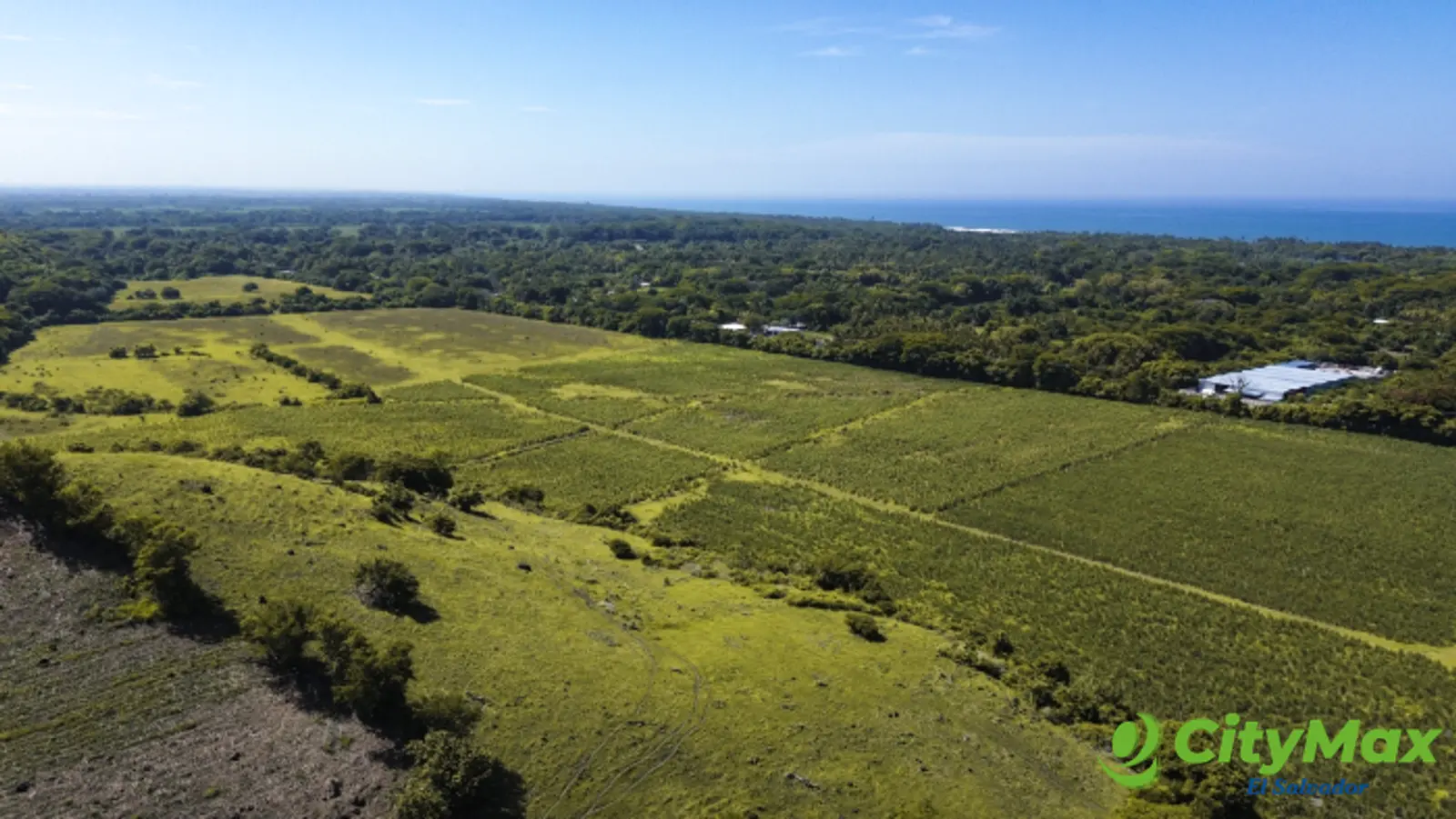 Terreno en venta para desarrollo La Libertad 39 manzana - foto 2