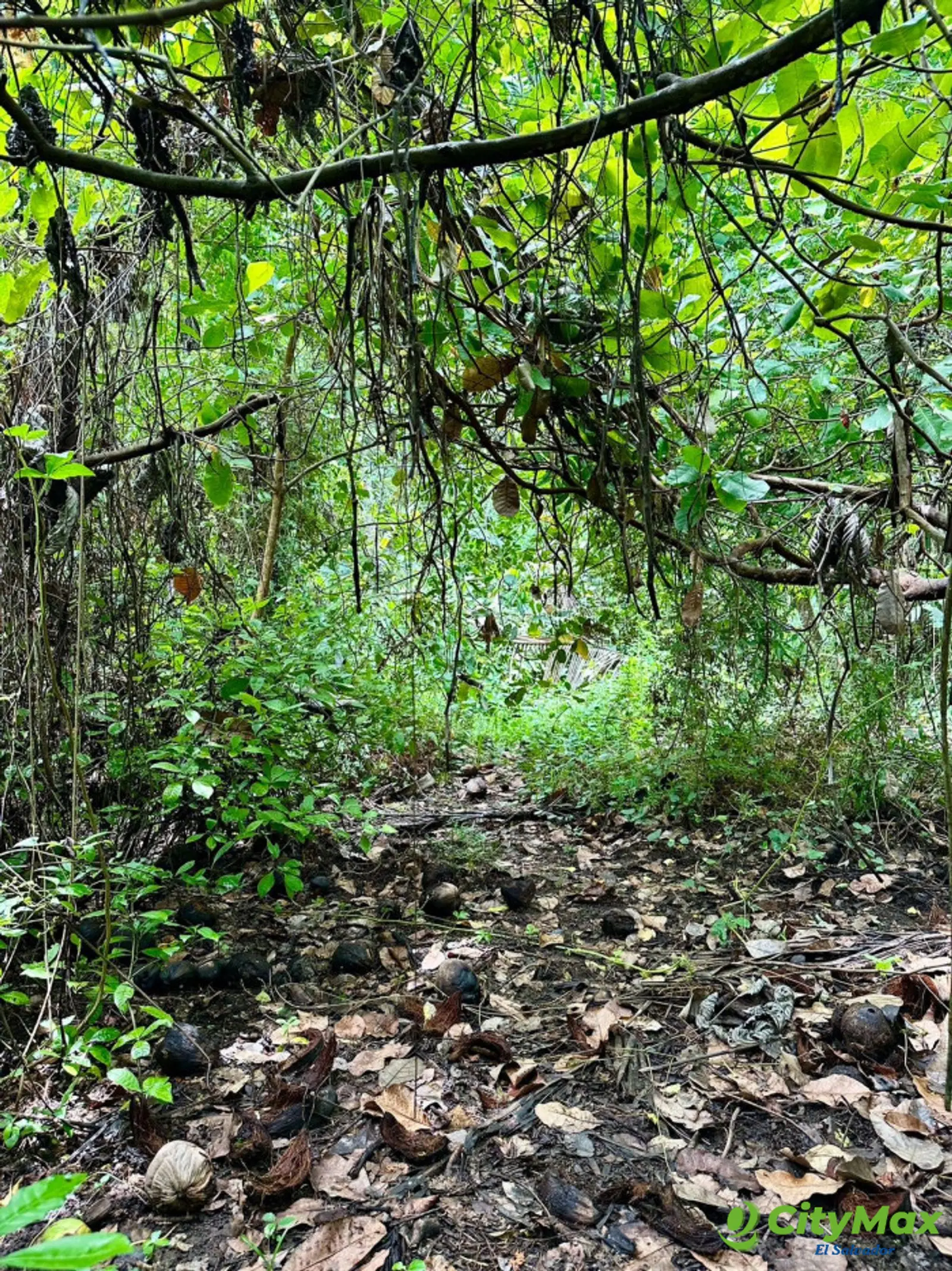 Terreno de primera fila al mar Isla Madresal Usulután - foto 5