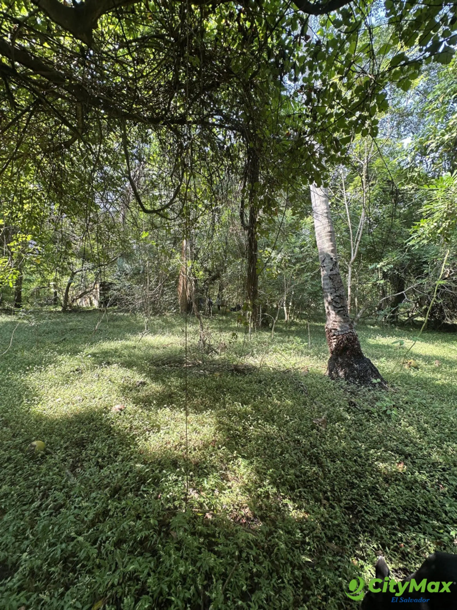 Terreno de 5 manzanas en Isla Madresal en Jiquilisco - foto 8