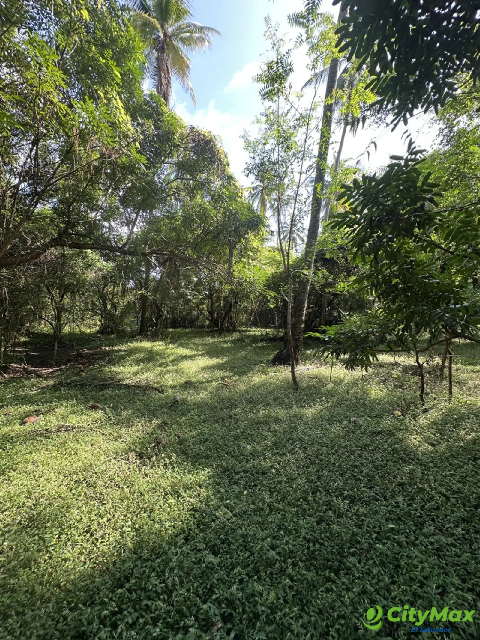 Terreno de 1.8 manzanas primera fila en Isla Madresal  - foto 10