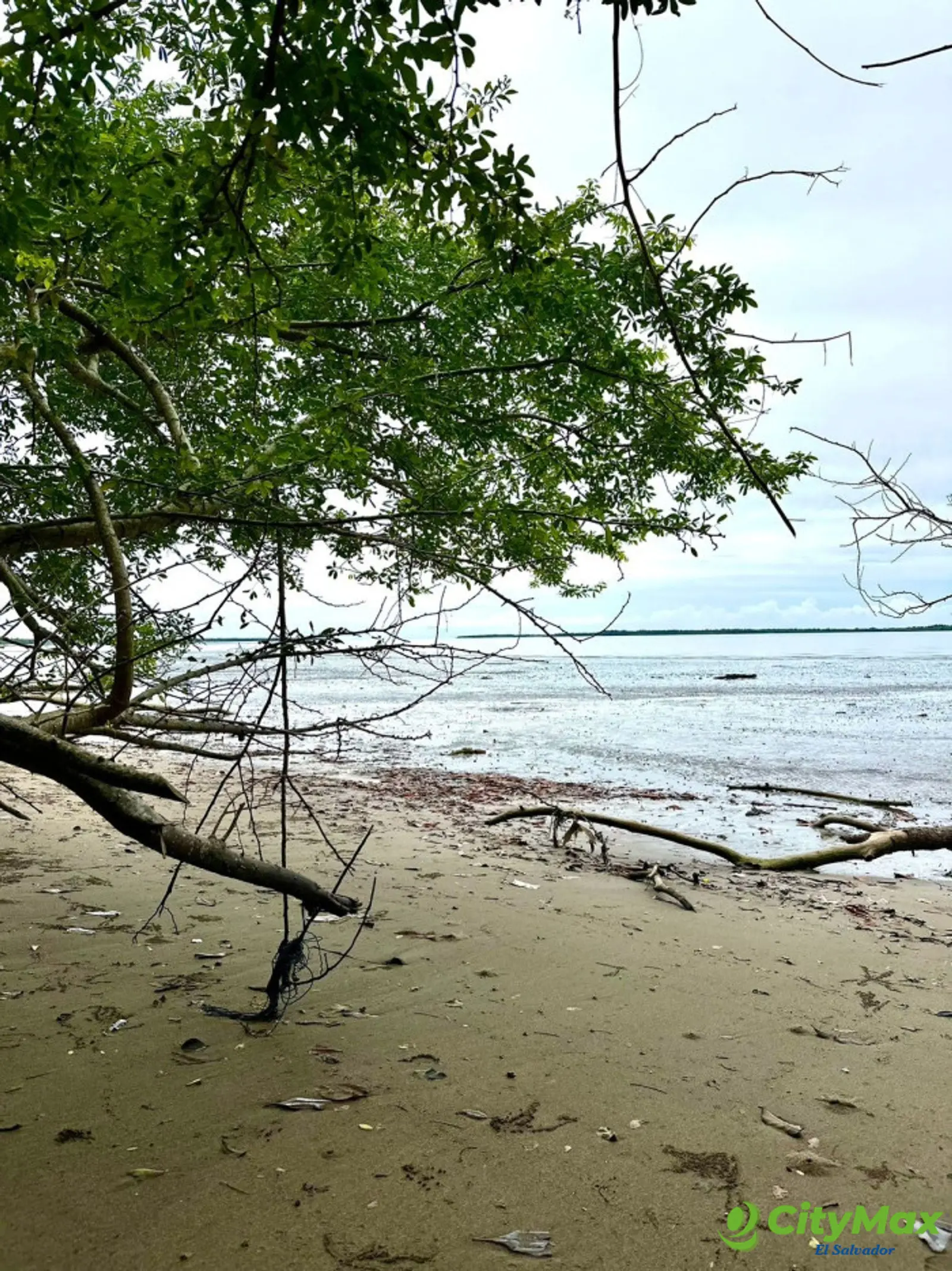 Terreno de primera fila al mar Isla Madresal Usulután - foto 9