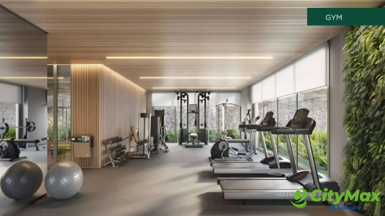 Apartamentos en venta en Torre Floreli - Gimnasio