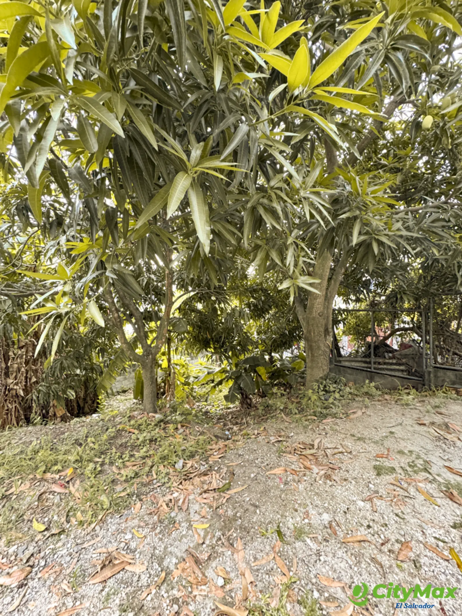 Terreno en venta en Apulo Ilopango a 3 minutos del lago - foto 3