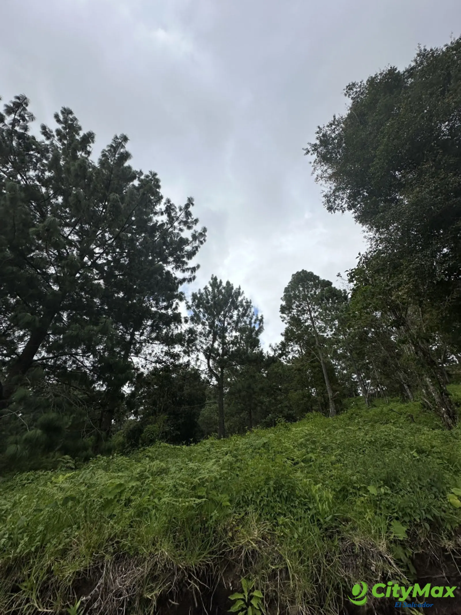 Terreno en venta en Alpes de San Ignacio Chalatenango - foto 9