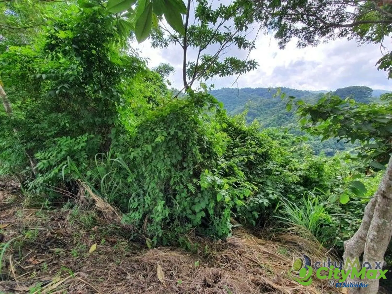 En venta Finca de 50 Mz en zona Santiago Texacuangos - foto 2